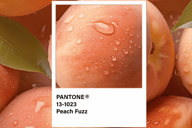 Esplorando la Tonalità del Futuro: Pantone Peach Fuzz 13-1023 nel 2024